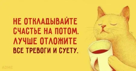 15 солнечных открыток с правильным отношением к жизни