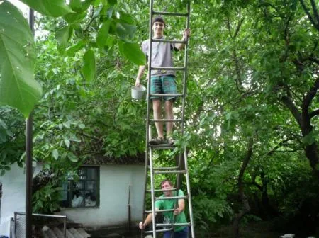 Вот почему женщины живут дольше мужчин