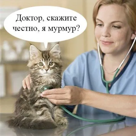 Никакого чуда, просто фото прикольные