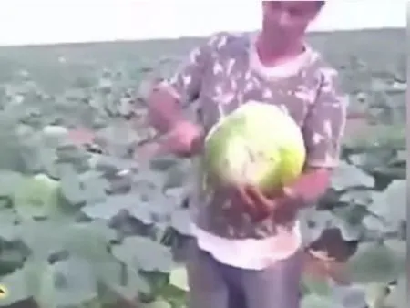 Нарезка видео под девизом ЧтоЭтоБыло