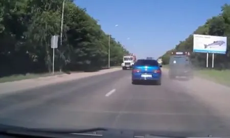 Из жизни обочечников головного мозга