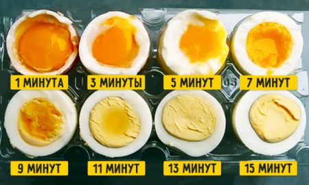 Научный способ, который поможет сварить яйца правильно