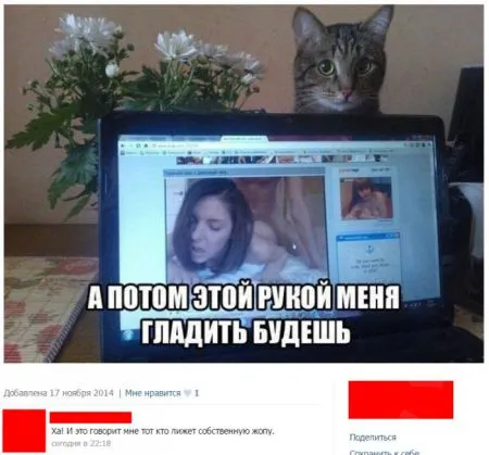 Прикольное общение в соц сетях
