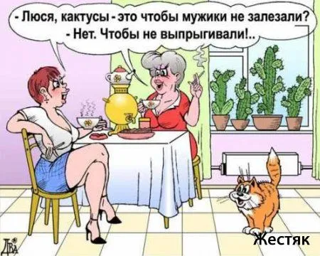 Анекдоты про девушек от 26 января 2016