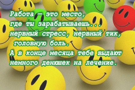Свежие анекдоты от 31 января 2016