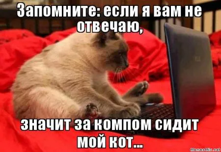 Типичный интернет-пользователь, вот он какой