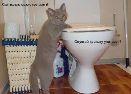 Особенности жизни сильного и независимого мужчины