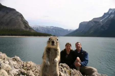 Самые эпичные фотобомбы