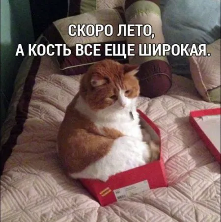 Прикольная фотоподборка