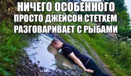 Прикольные картинки с надписями (20 фото)