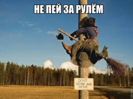 Прикольные картинки с надписями (20 фото)