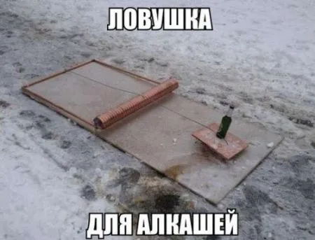 Прикольные картинки с надписями (20 фото)