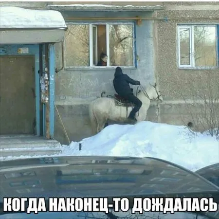 Прикольные картинки с надписями (20 фото)