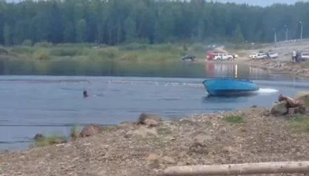 К чему приводит пьяный отдых на природе