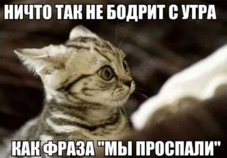 Прикольные фотомемы, и до Пятницы рукой подать