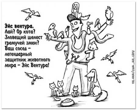 Типы соседей, которые есть, наверное, у каждого!