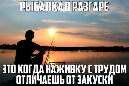 Свежая порция прикольных фотомемов