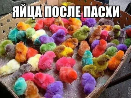 Прикольные картинки (22 шт)