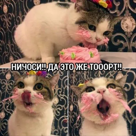 Подбодрись фото приколами