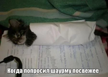 Прикольная фотоподборка