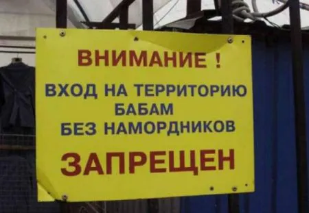 Не задался день? Просто прочтите это — и вам полегчает