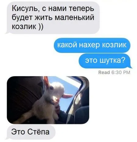 Соц сети пишут