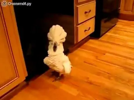 https://youtu.be/zhQKWYeN8RE