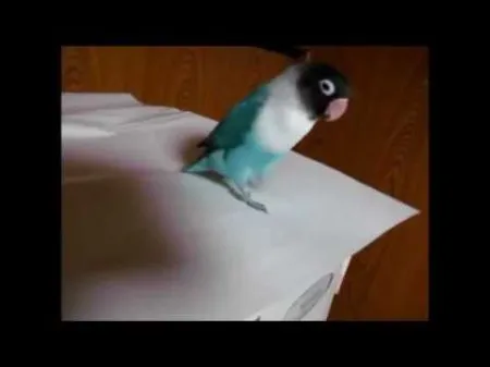 Смеялся до слез