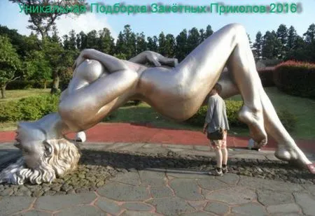 Приколы 2016 июнь! Funny Videos!!  #2
