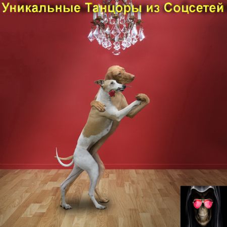 Уникальные Танцоры из Соц.сетей 2016