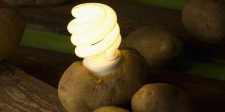 Светящаяся картошка: обалденный опыт, который можно провести вместе с детьми