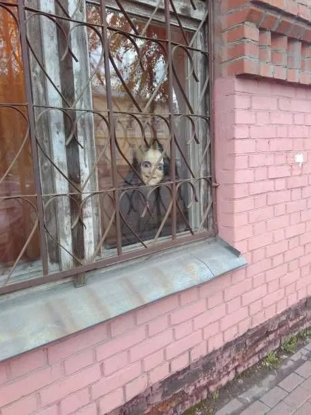 Прикольная фотоподборка от 10 октября 2016