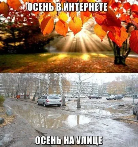Прикольная фотоподборка от 10 октября 2016