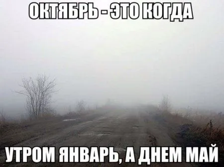 Прикольная фотоподборка от 10 октября 2016