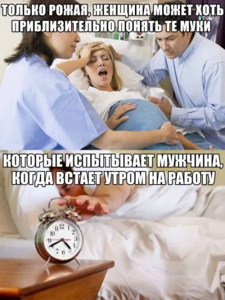 Прикольная фотоподборка от 10 октября 2016
