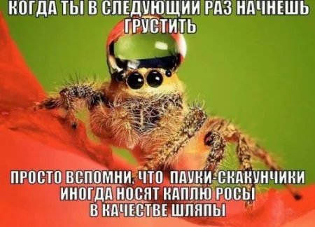 Прикольная фотоподборка от 10 октября 2016