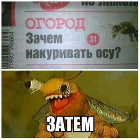Прикольная фотоподборка от 10 октября 2016