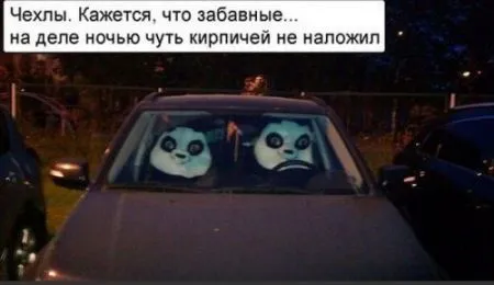 Прикольная фотоподборка от 10 октября 2016