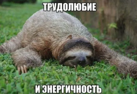 Прикольная фотоподборка от 10 октября 2016