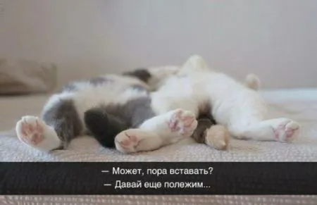 Прикольная фотоподборка от 10 октября 2016