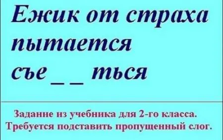 Прикольная фотоподборка от 10 октября 2016