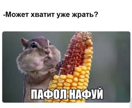 Смешные картинки с надписями от 24 октября 2016
