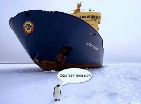 Смешные картинки с надписями от 24 октября 2016