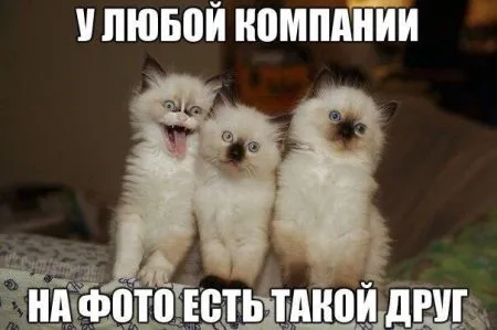 Смешные картинки с надписями от 24 октября 2016
