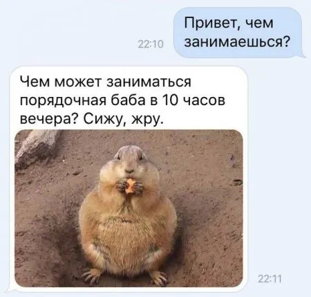 Смешные картинки с надписями от 24 октября 2016