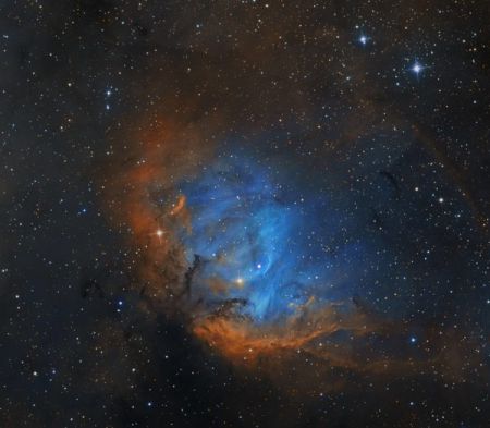 Астрономы показали снимок туманности "Тюльпан"