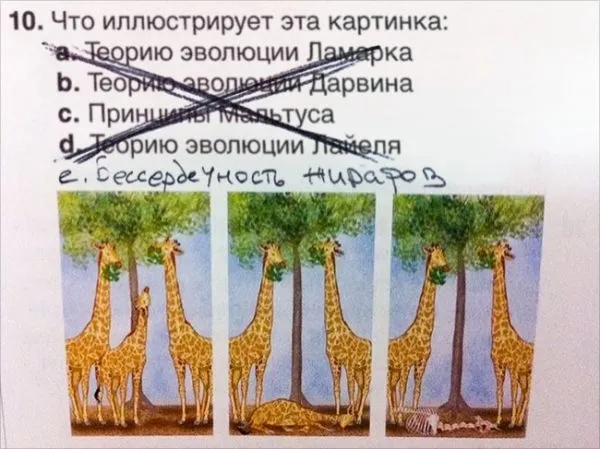 Вот как надо отвечать на экзамене, когда ничего не знаешь
