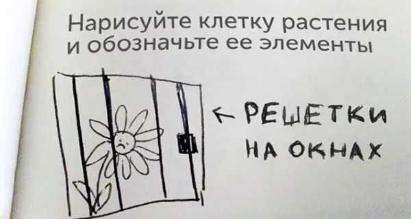 Вот как надо отвечать на экзамене, когда ничего не знаешь