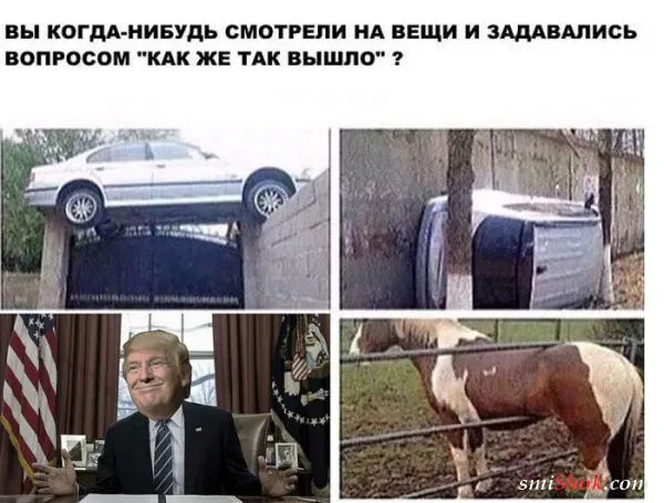 Смешные картинки на тему победы Дональда Трампа