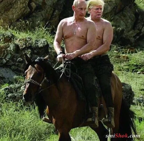 Смешные картинки на тему победы Дональда Трампа